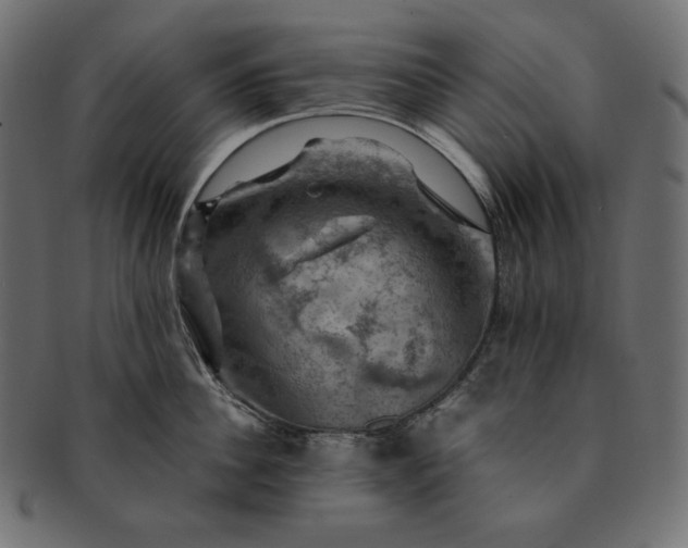 X0000091710956200709071409