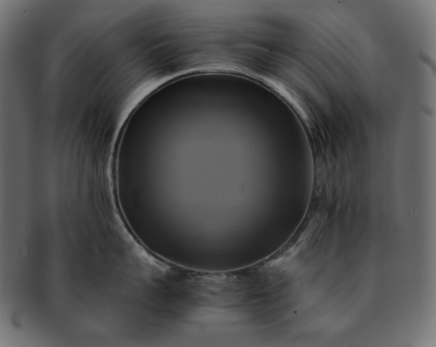 X0000091710959200709071409