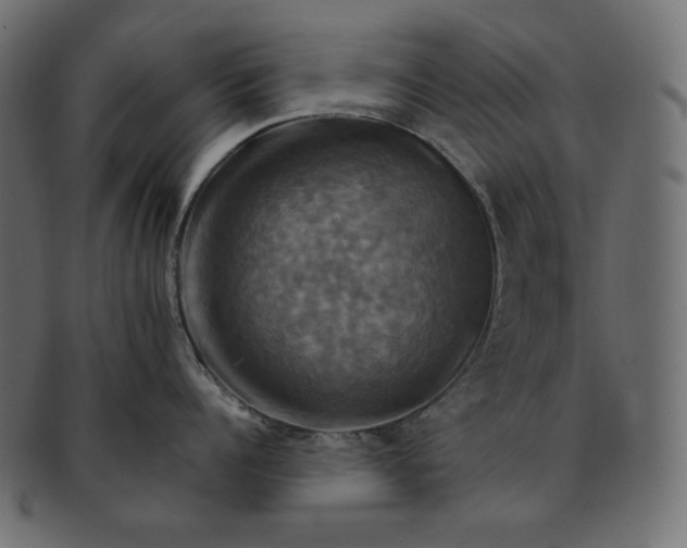 X0000091710960200709071410