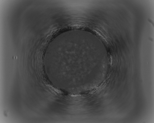 X0000091710961200709071409