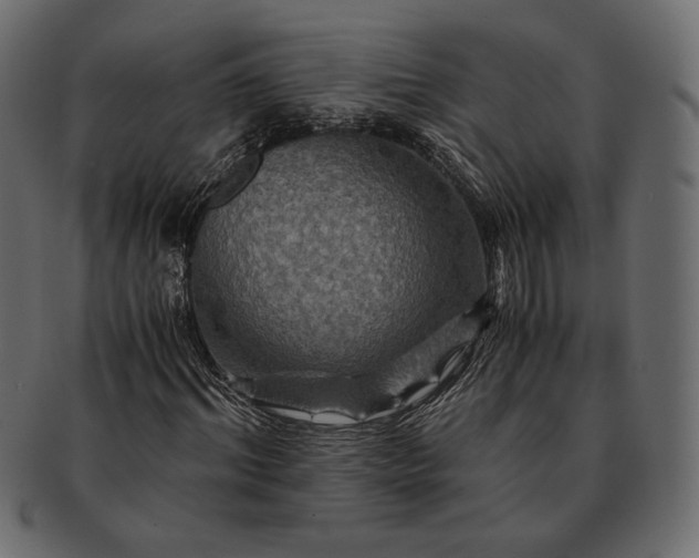 X0000091710964200709071409