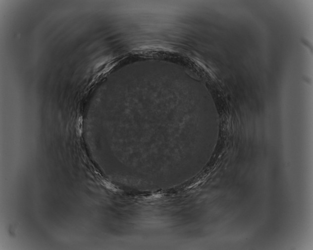 X0000091710965200709071409