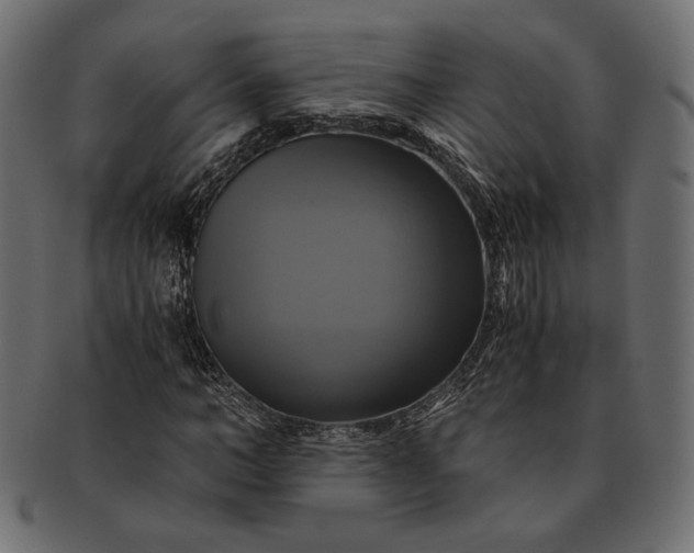 X0000091710966200709071409