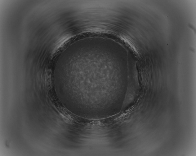 X0000091710968200709071409