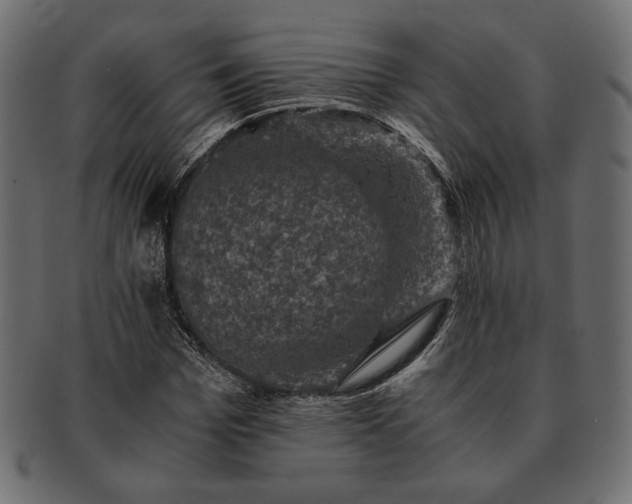 X0000091710969200709071409