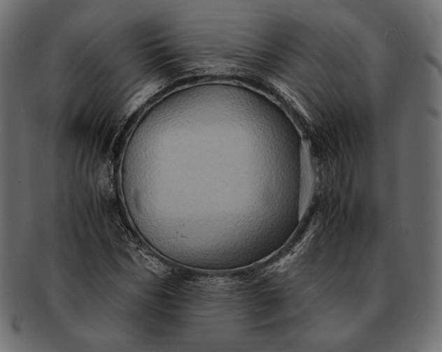 X0000091710970200709071409