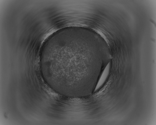 X0000091710971200709071409