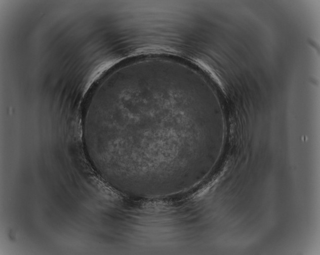 X0000091710973200709071409