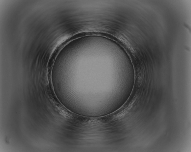 X0000091710974200709071409