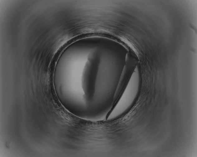 X0000091710975200709071409