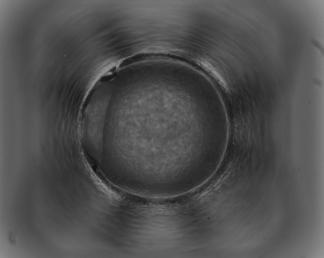 X0000091710976200709071409