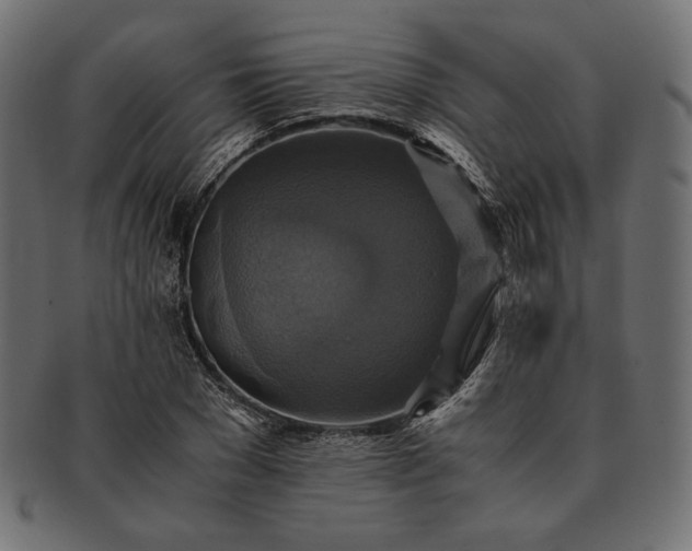 X0000091710977200709071409