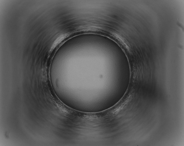 X0000091710978200709071409