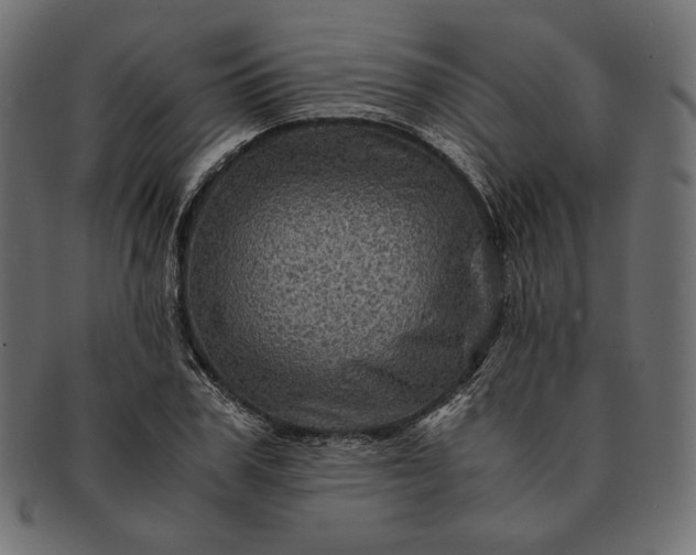 X0000091710979200709071409