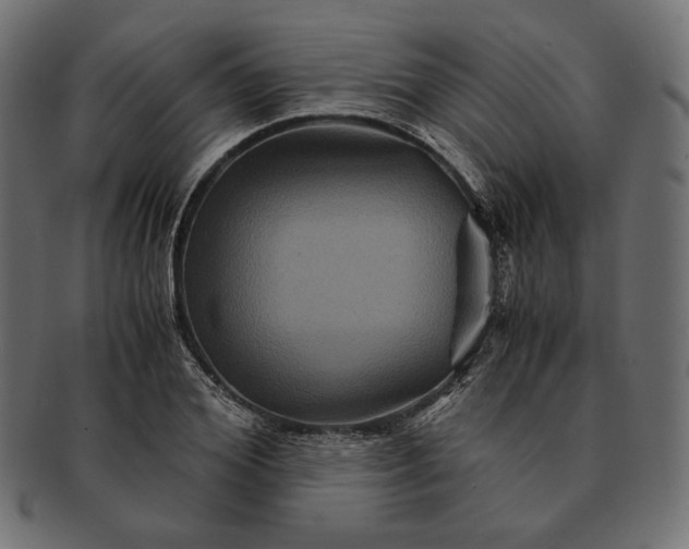 X0000091710980200709071409