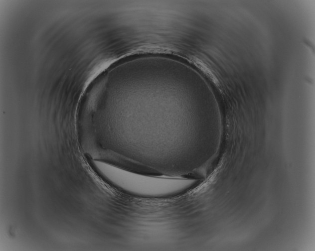 X0000091710981200709071409