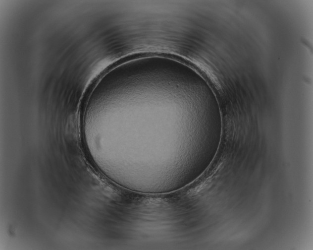 X0000091710982200709071409