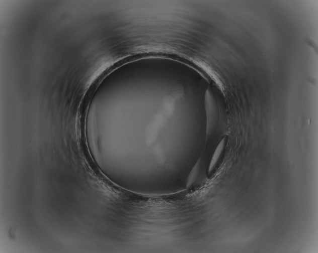 X0000091710983200709071409