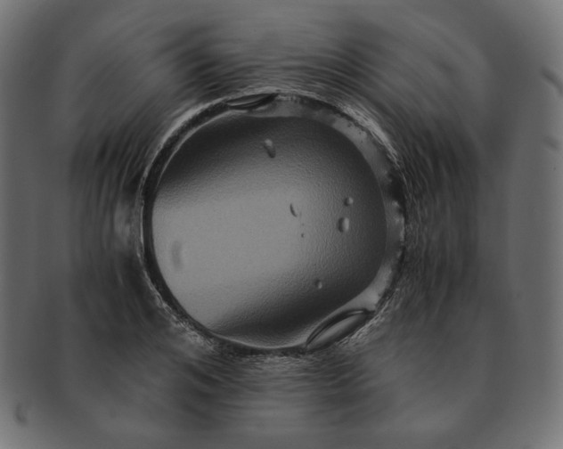 X0000091710984200709071409