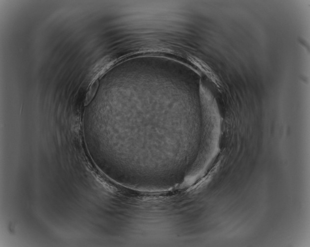 X0000091710985200709071409