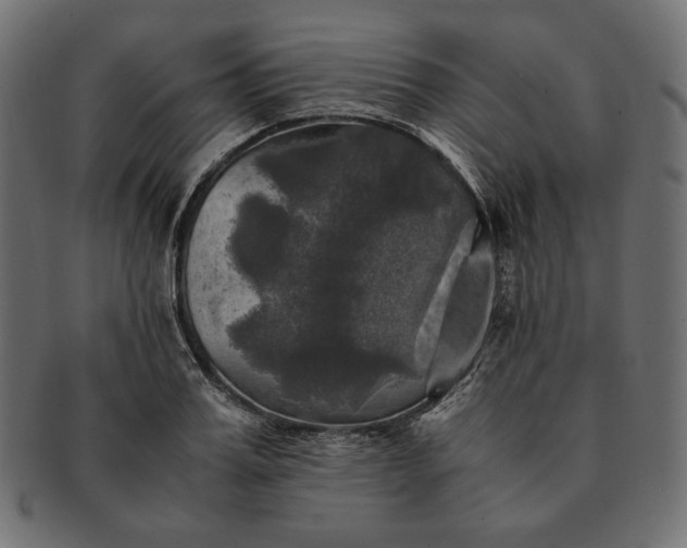 X0000091710987200709071408