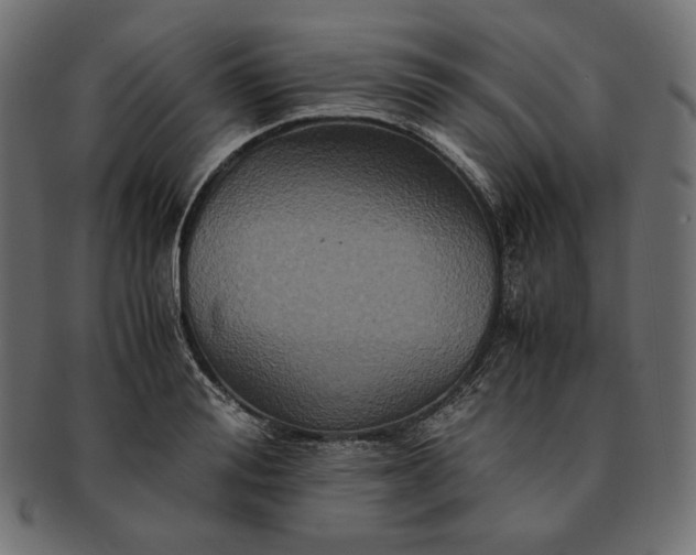 X0000091710988200709071408