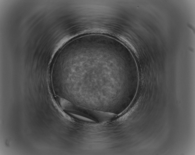 X0000091710989200709071408