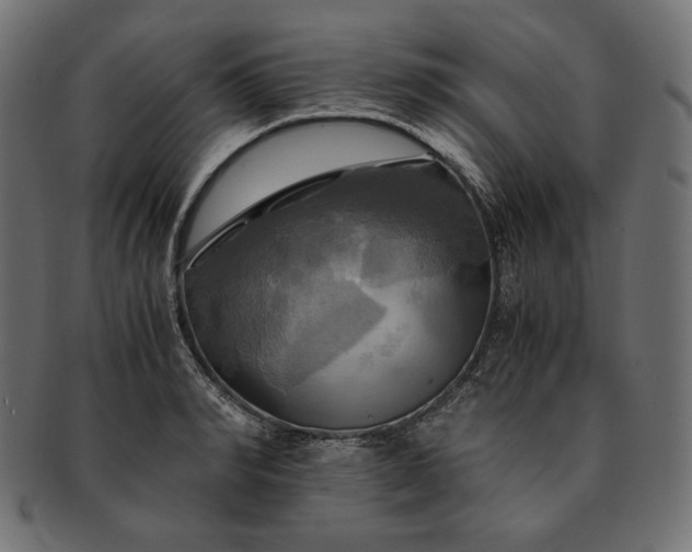 X0000091710990200709071408