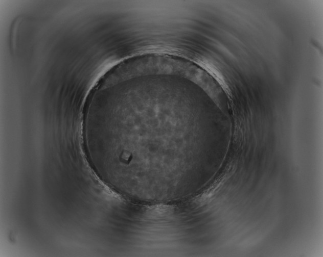 X0000091710992200709071408