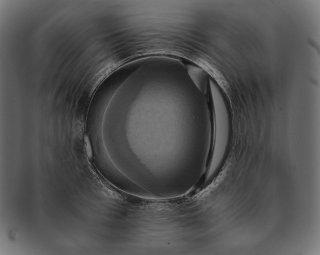 X0000091710993200709071408