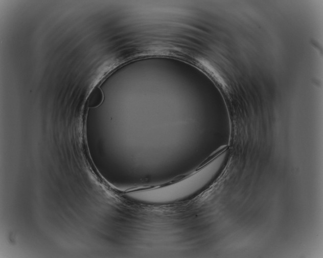 X0000091710994200709071408