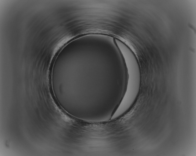 X0000091710995200709071408