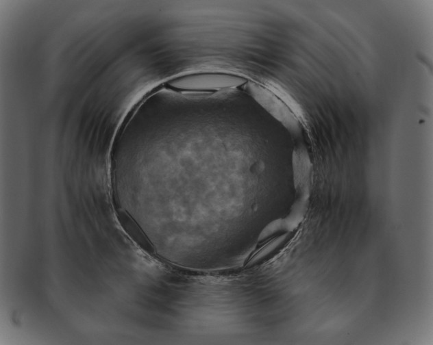 X0000091710996200709071408