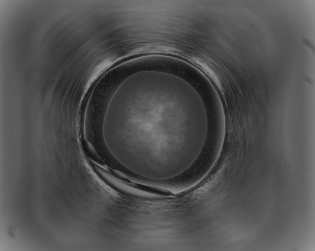 X0000091710997200709071408