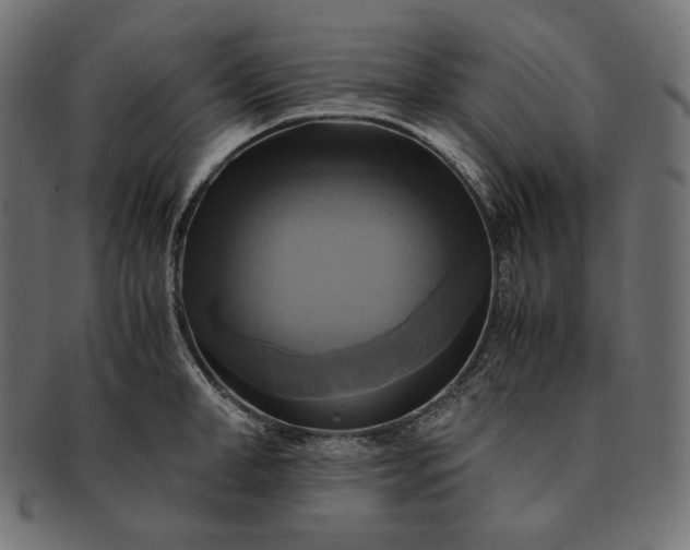 X0000091710998200709071408