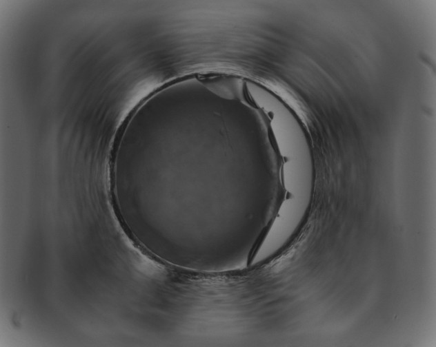 X0000091710999200709071408