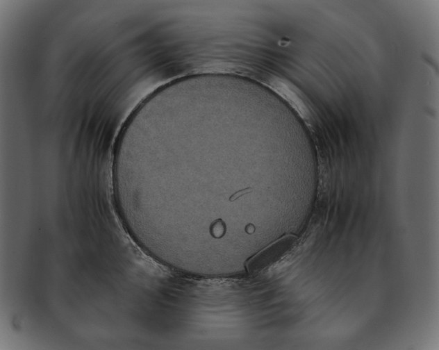 X0000091711000200709071408