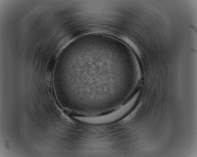 X0000091711001200709071408