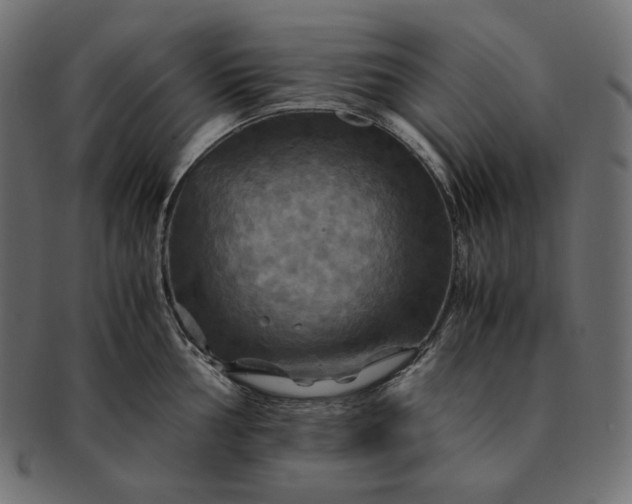 X0000091711002200709071408