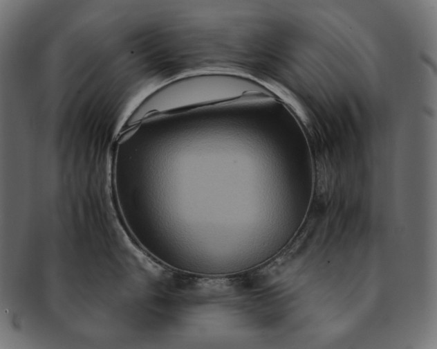 X0000091711006200709071408