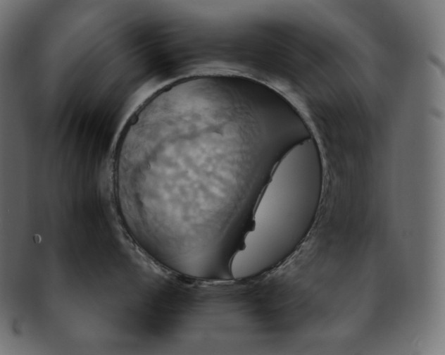 X0000091711008200709071408