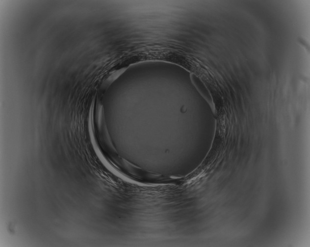 X0000091711010200709071407