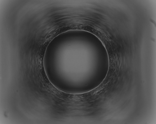 X0000091711013200709071407