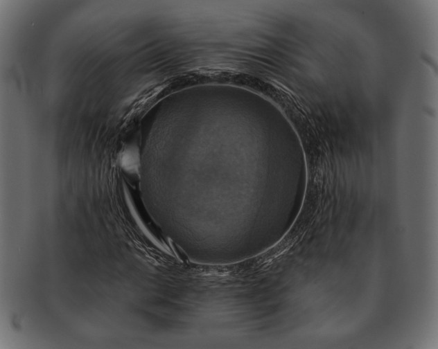 X0000091711014200709071407