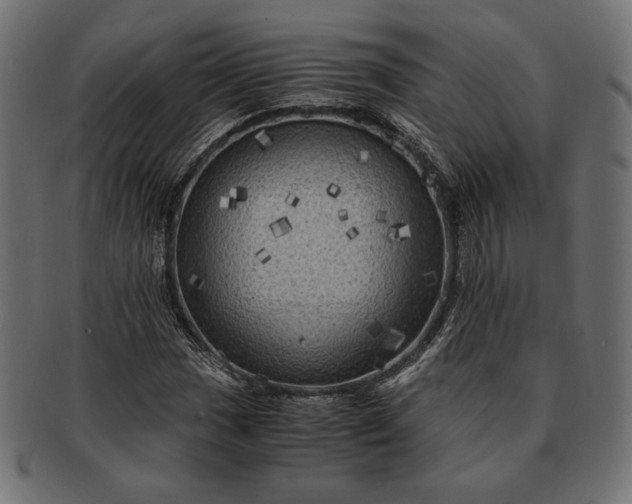 X0000091711017200709071407