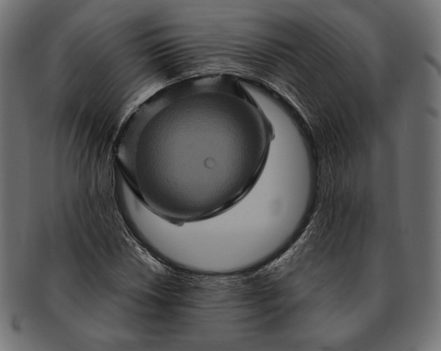 X0000091711018200709071408