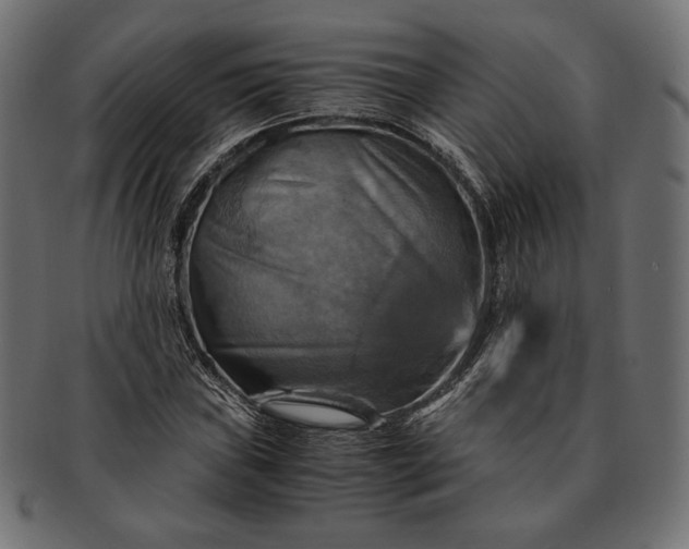 X0000091711019200709071408