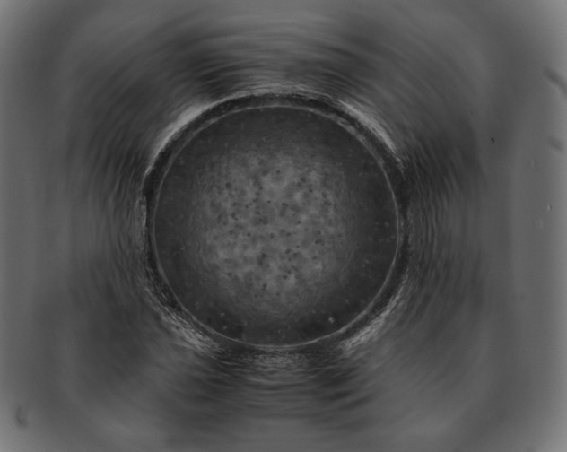 X0000091711021200709071408