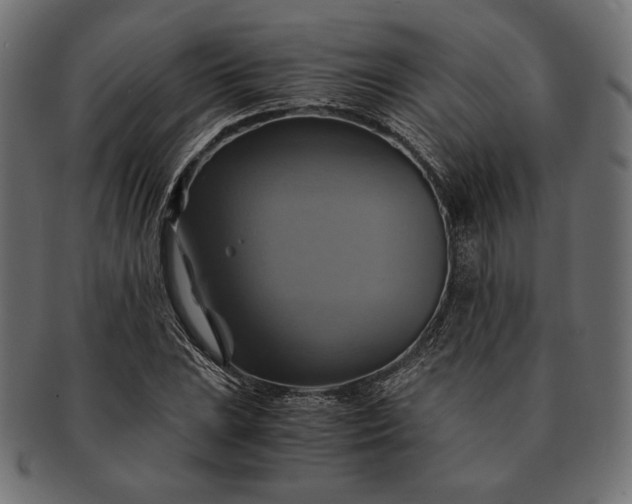 X0000091711023200709071408