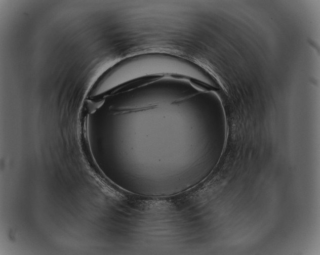 X0000091711024200709071408